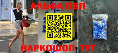 СК Новодвинск