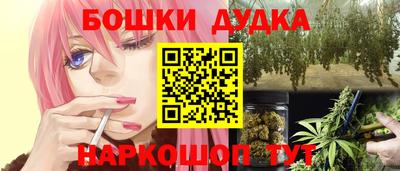 СК Новодвинск