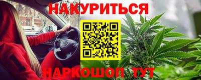 СК Новодвинск