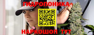 мет Новозыбков