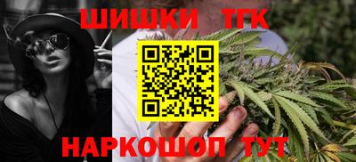 СК Новодвинск