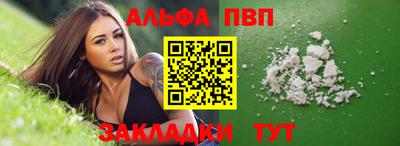 СК Новодвинск