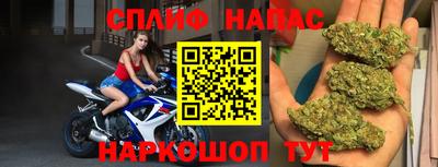 СК Новодвинск