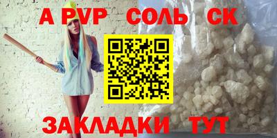 СК Новодвинск