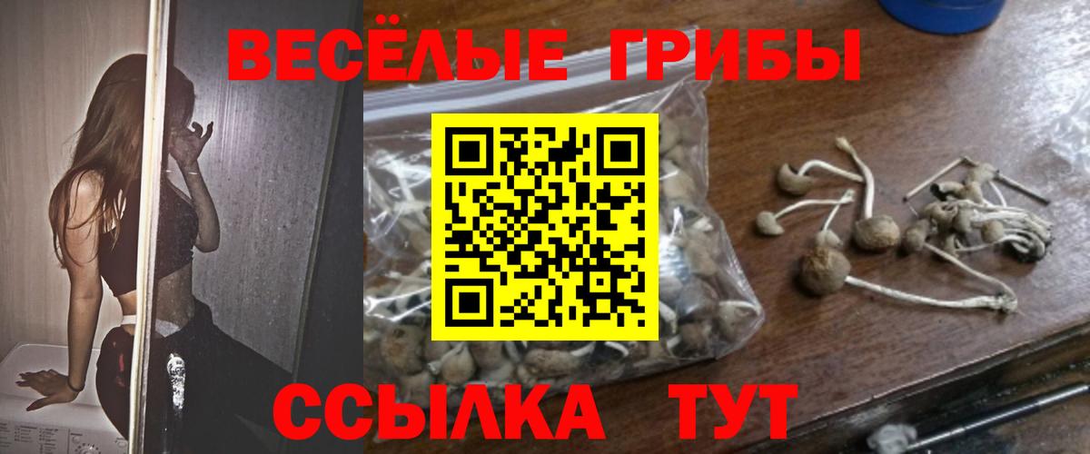 Галлюциногенные грибы мицелий  Вход с VPN  Псилоцибиновые грибы GOLDEN TEACHER  Пенза 